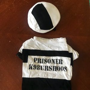 Small dog Halloween costume